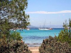183 ILE DE PORQUEROLLES -3_000015